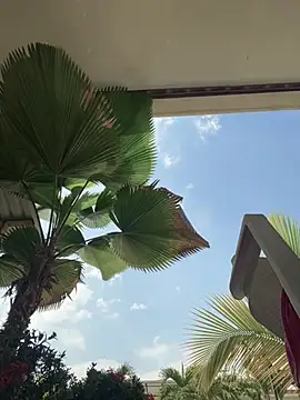 Snapshot of Ema_azel chatting on 03-09-25, 02:21 Ema azel online show from 03-09-25, 02:21