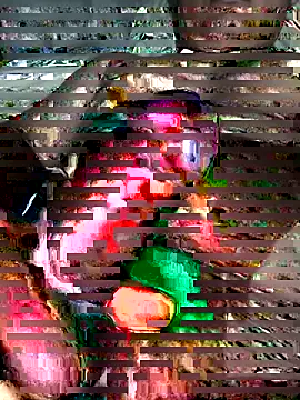 EZEL-59 online show from 02-15-26, 01:39