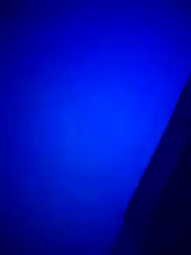 Buddy Cuck online show from 03-27-26, 10:49