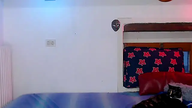 cek 186 online show from 12-22-25, 01:44