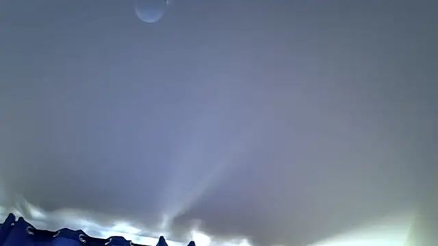 sweet darlli online show from 07-13-26, 11:09