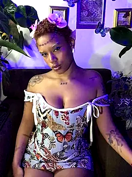 haiiley more online show from 11-01-25, 05:03