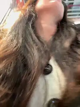 eveangelll online show from 12-05-25, 09:52