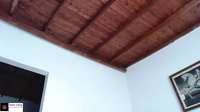 Trix fiore oficial online show from 10-14-25, 09:25