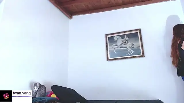 Trix fiore oficial online show from 11-12-25, 11:52