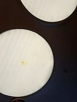 CanelitaPasion online show from 02-11-26, 08:09