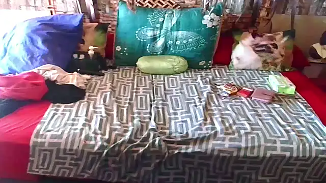 Indian Blaze00 online show from 12-20-25, 09:23