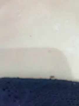 By Aninha online show from 11-12-25, 08:40