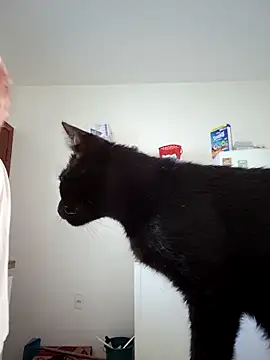 Escarlate4you  online show from 03-22-26, 09:44