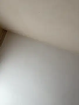 rpotktkkt online show from 11-20-25, 09:43