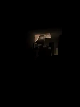 RIP Curl online show from 11-28-25, 07:19