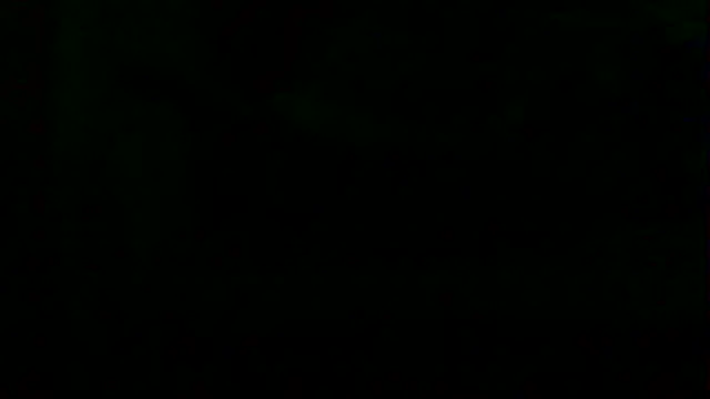 markluvskitty online show from 04-12-26, 07:55