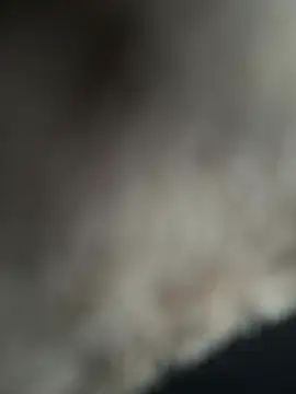 Snapshot of Joaquinp2023 chatting on 01-21-25, 09:15 Joaquinp2023 online show from 01-21-25, 09:15