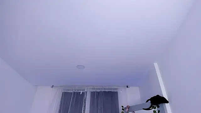 Snapshot of _mia_collins_b_ chatting on 01-29-25, 01:48  mia collins b  online show from 01-29-25, 01:48