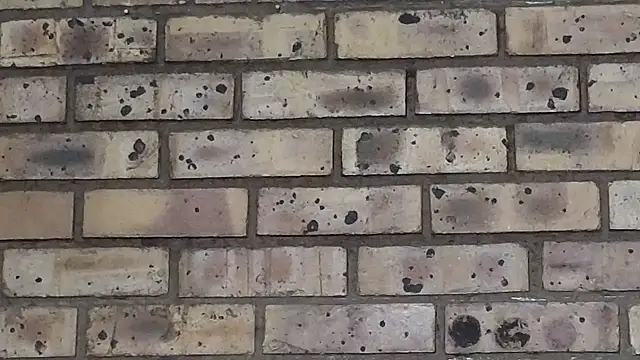 Astoria Moon online show from 03-22-25, 07:09