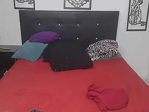 Shanttal0272 online show from 12-17-25, 12:59