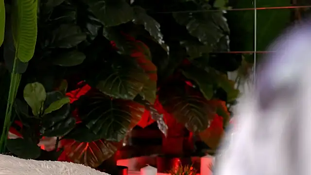 KellyMathews online show from 04-10-26, 01:56