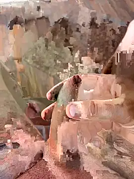 Nemadokmeg1111 online show from 01-27-25, 08:40