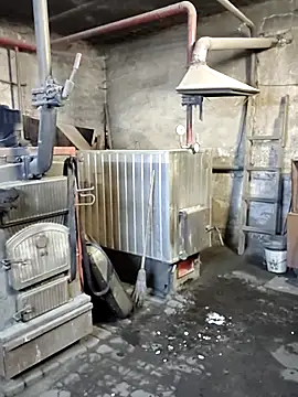 MityaXLoves online show from 12-22-25, 06:52