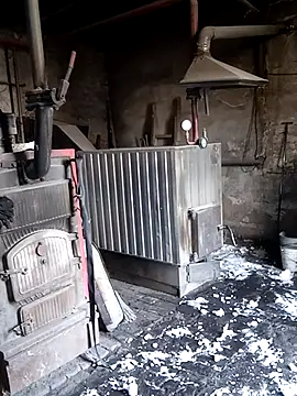 MityaXLoves online show from 03-20-26, 05:52