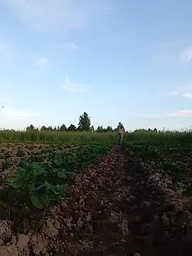 MityaXLoves online show from 06-30-26, 05:02