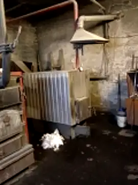 MityaXLoves online show from 03-12-26, 06:56