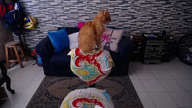 VioletaGomezCo online show from 03-20-26, 03:02