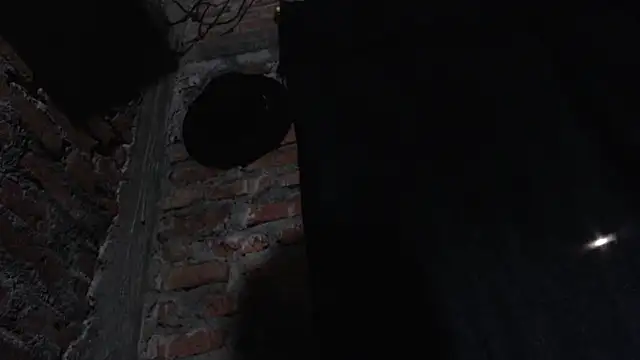 J232001 online show from 03-01-26, 11:49