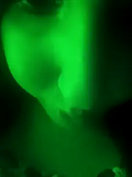 Snapshot of youka_tr chatting on 02-14-26, 07:36 youka tr online show from 02-14-26, 07:36