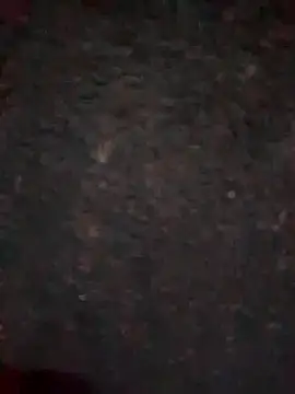 Rozittaa online show from 11-09-25, 05:17