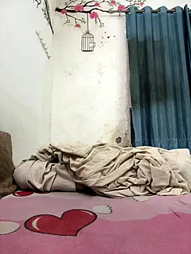 mrtoy121 online show from 01-06-26, 06:12