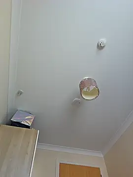 meateater1 online show from 11-01-25, 10:42