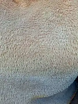 Priya Bong online show from 01-15-26, 04:05