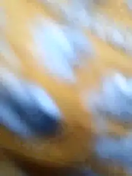 Priya Bong online show from 05-29-26, 01:33