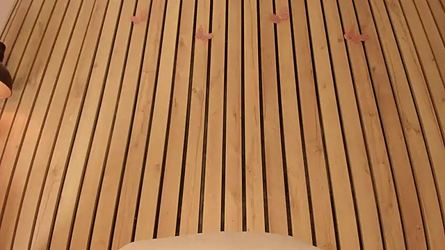 sofiesoft online show from 11-22-25, 12:59