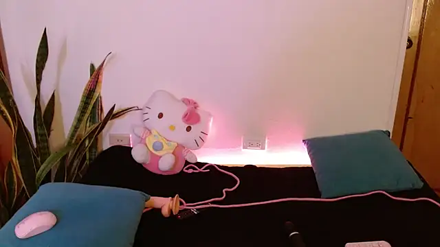 kittycatw online show from 02-24-26, 09:21