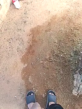 DickMasterfindom online show from 12-21-25, 12:29