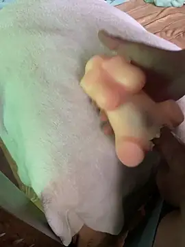 anonimotarado12 online show from 10-09-25, 10:05