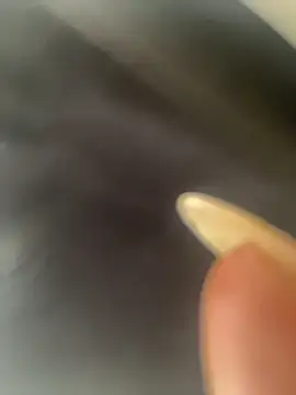 Snapshot of DarianaGuzz chatting on 10-31-25, 10:16 DarianaGuzz online show from 10-31-25, 10:16