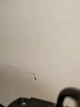 Snapshot of AvaLloyd chatting on 02-20-26, 06:26 AvaLloyd online show from 02-20-26, 06:26