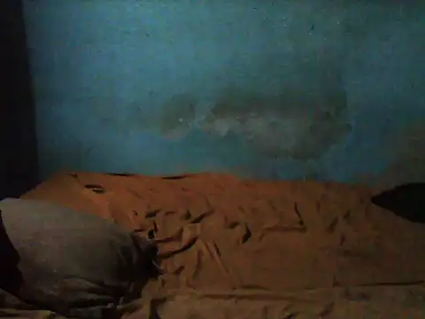 little  joy online show from 11-09-25, 02:15