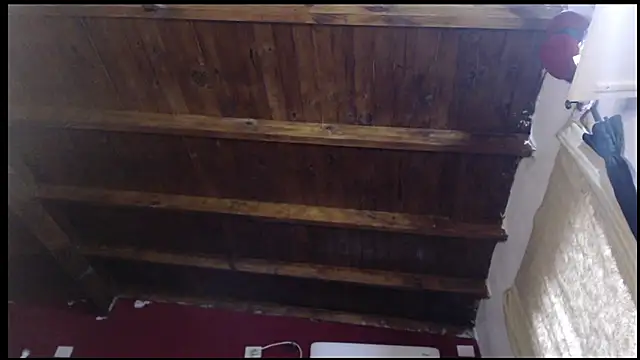 GABUSEXY online show from 02-14-26, 09:59