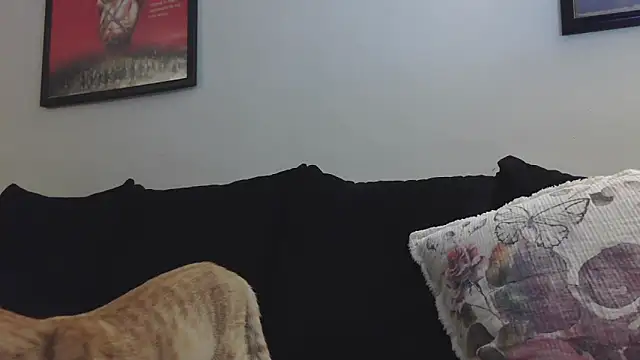 CrystalLakeXO online show from 09-12-25, 04:23