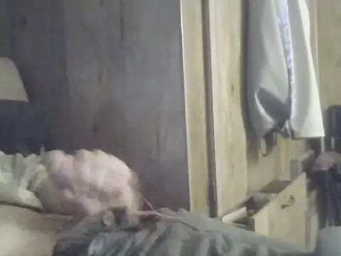 Snapshot of Irishman9077 chatting on 09-25-25, 04:18 Irishman9077 online show from 09-25-25, 04:18