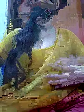 Anjel Sadia online show from 02-27-26, 01:28