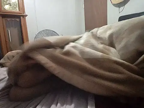 Xoc8  online show from 02-14-26, 09:31