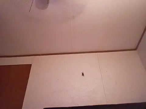 Xoc8  online show from 10-02-25, 07:17