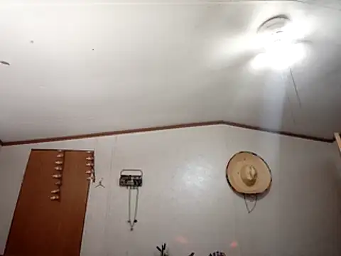 Xoc8  online show from 01-06-26, 07:40