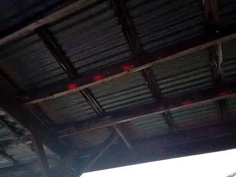 Xoc8  online show from 12-01-25, 11:05