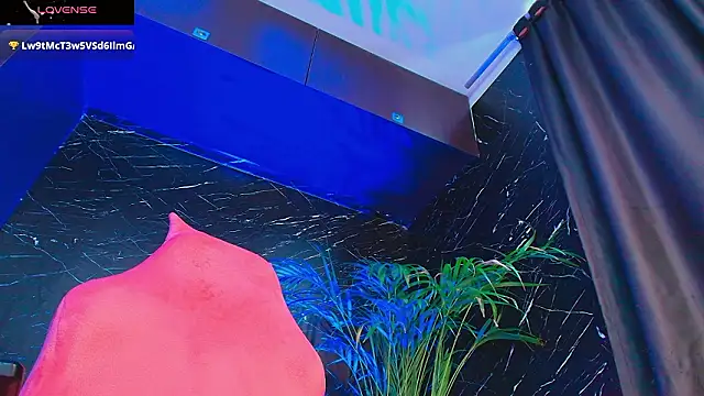 Palo santo online show from 02-03-26, 07:52